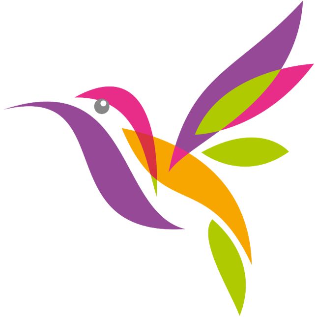 Bild eines bunten Kolibris